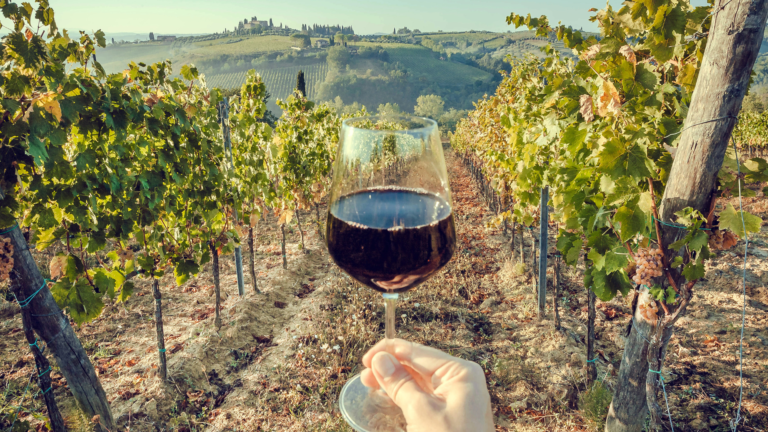 Luxury Wine Travel in Argentina Beyond the Tasting Room